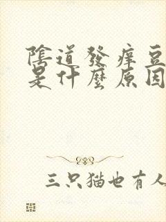 阴道发痒豆腐渣是什么原因