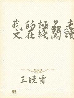 我的极品老婆全文在线阅读