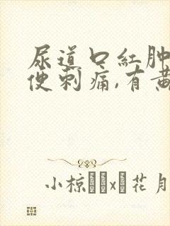 尿道口红肿,小便刺痛,有黄色分泌物