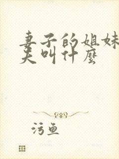 妻子的姐妹的丈夫叫什么