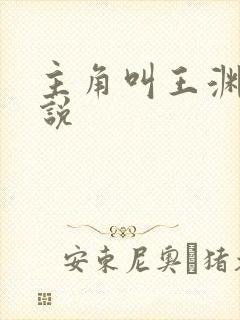 主角叫王渊的小说