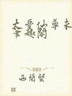 大爱仙尊未删减笔趣阁