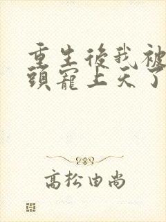 重生后我被死对头宠上天了