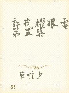 许我耀眼电视剧第五集