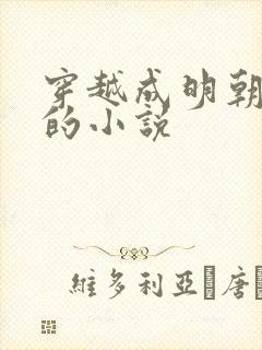 穿越成明朝崇祯的小说