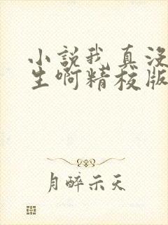 小说我真没想重生啊精校版