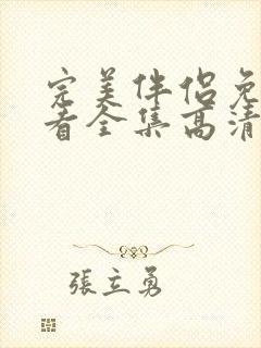 完美伴侣免费观看全集高清版