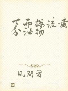 下面总流黄绿色分泌物