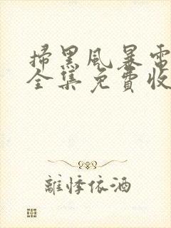 扫黑风暴电视剧全集免费收看20