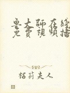 鲁大师在线高清免费视频播放软件封面