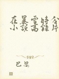 在暴雪时分原著小说高能片段封面