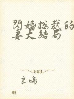 闪婚总裁的契约妻大结局