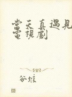 当天真遇见爱情电视剧