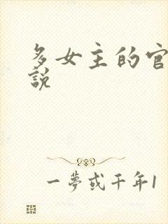 多女主的官场小说