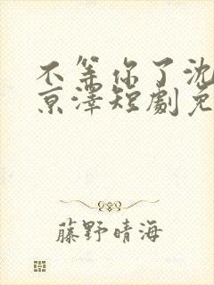 不等你了沈念陆京泽短剧免费观看