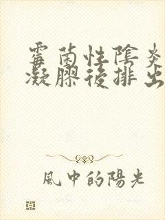 霉菌性阴炎用了凝胶后排出豆腐渣