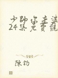 少帅你老婆又跑24集免费观看