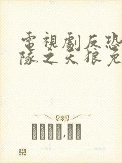 电视剧反恐特战队之天狼免费观看完整版