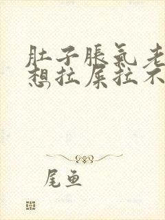 肚子胀气老放屁想拉屎拉不出来怎么回事