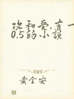 攻和受,有一个0.5的小说