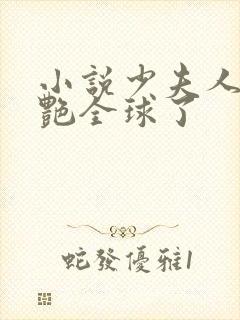 小说少夫人她惊艳全球了