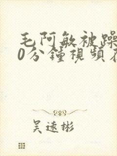 毛阿敏被躁120分钟视频在线观看