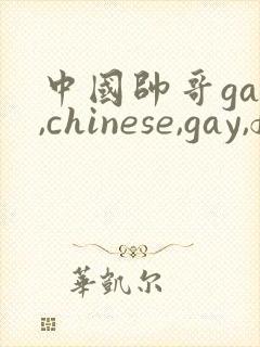 中国帅哥gay,chinese,gay,fees,gv,videos
