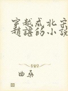 穿越成北宋太子赵谌的小说