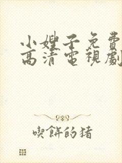 小嫂子免费观看高清电视剧大全