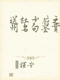 送杜少府之任蜀州名句鉴赏