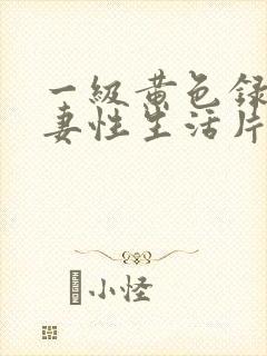 一级黄色录相夫妻性生活片