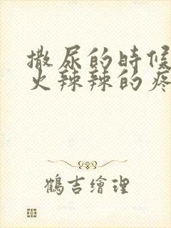 撒尿的时候尿道火辣辣的疼