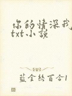 你的情深我不配txt小说