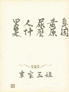 男人尿黄臭味大是什么原因