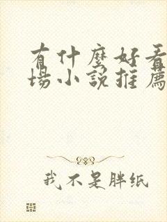 有什么好看的官场小说推荐一下