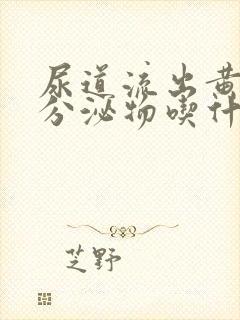 尿道流出黄脓状分泌物吃什么药