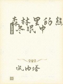 森林里的熊先生·冬眠中