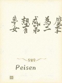 梦想成为魔法少女有第二季吗封面