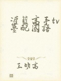 灌篮高手tv版台配国语