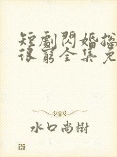 短剧闪婚总裁都很穷全集免费观看封面