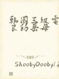 韩国三级电影善良的岳母封面