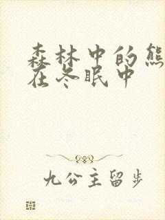 森林中的熊先生在冬眠中