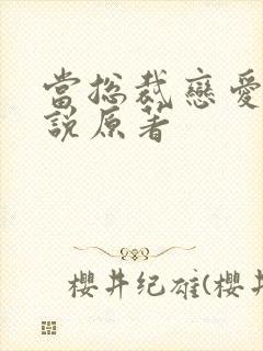 当总裁恋爱时小说原著