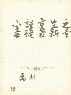 小说重生之将门毒后最新章节列表最