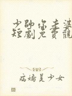 少帅你老婆又跑短剧免费观看