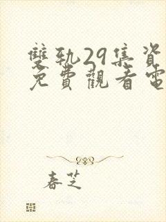 双轨29集资源免费观看电视剧