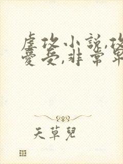 虐攻小说,攻很爱受,非常卑微