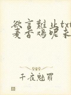 欲言难止txt麦香鸡呢未删减