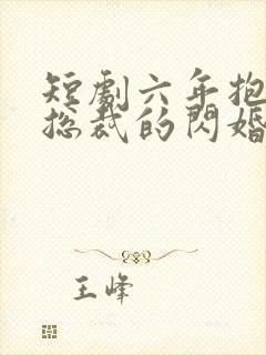 短剧六年抱俩,总裁的闪婚妻