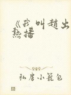 《我叫赵出息》热播封面